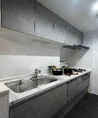 ハイネスプリモール城東